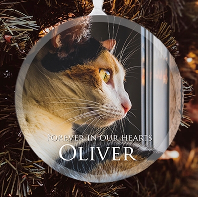 Show details for Classic Full Circle Pet Ornament