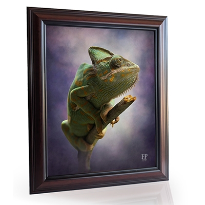 Show details for Framed Memorial Portrait - In Loving Memory Iguana with Studio Background