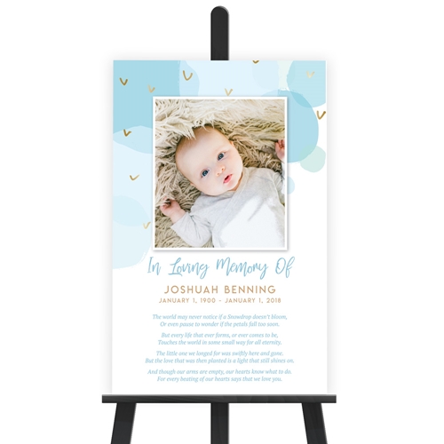 Picture of Baby Boy Poster