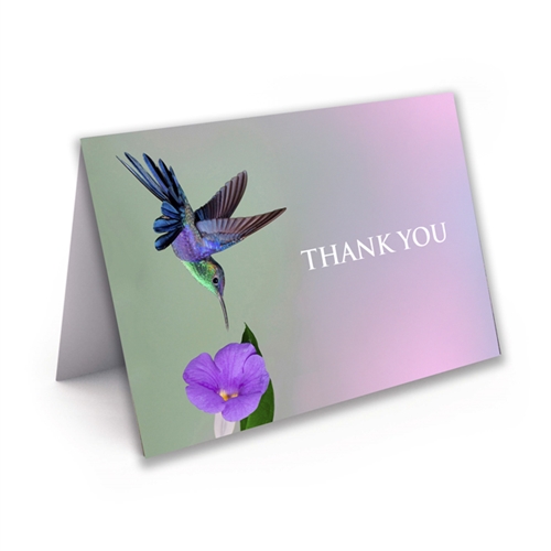 Show details for Hummingbird Thank You Card 