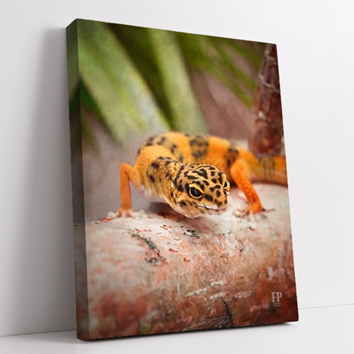 Show details for Wrapped Canvas Memorial Portrait - Serene Lizard with Lifescapes Background Show details for Wrapped Canvas Memorial Portrait - Serene Lizard with Lifescapes Background