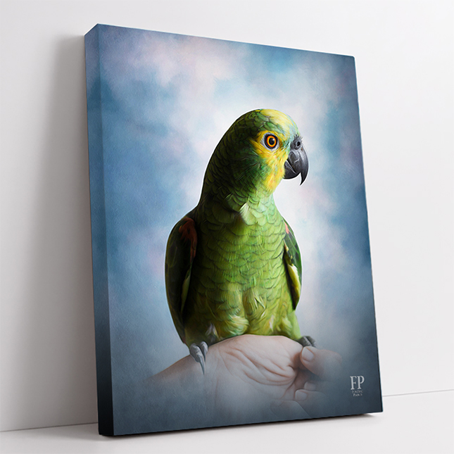 Show details for Wrapped Canvas Memorial Portrait - Cherished Bird with Studio Background