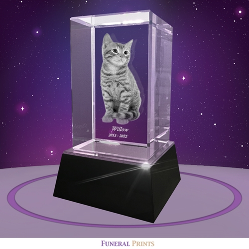 Show details for 3D Cube Pet Crystal – Photo & Text