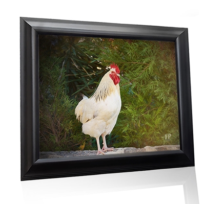 Show details for Framed Memorial Portrait - Gentle Chicken with Lifescapes Background