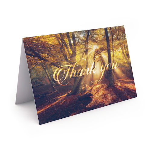Picture of Ray Of Light Thank You Card