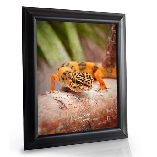 Show details for Framed Memorial Portrait - Serene Lizard with Choice of Backgrounds