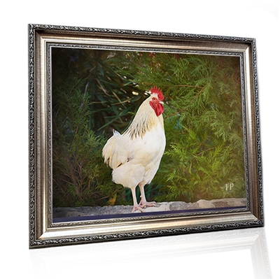 Show details for Framed Memorial Portrait - Gentle Chicken with Lifescapes Background
