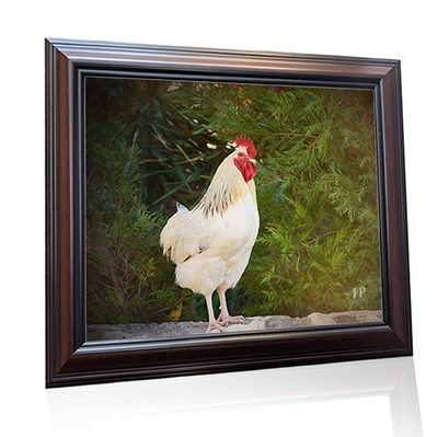Show details for Framed Memorial Portrait - Gentle Chicken with Lifescapes Background