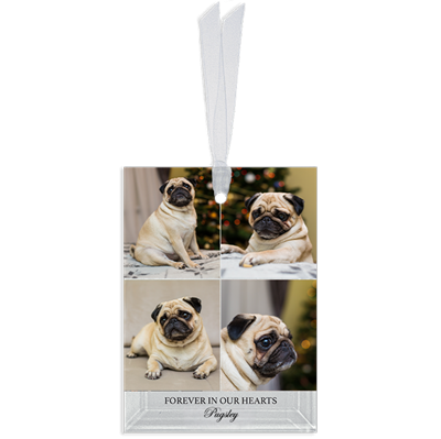 Show details for Gallery 4 Rectangle Pet  Ornament