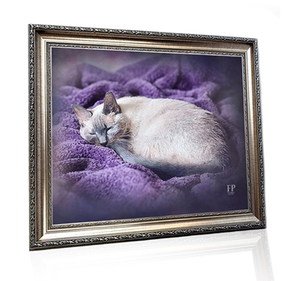 Show details for Framed Memorial Portrait - Curious Cat with Choice of Backgrounds