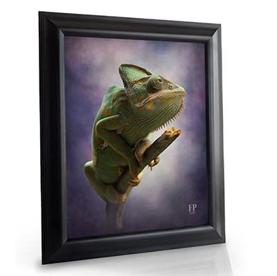 Show details for Framed Memorial Portrait - In Loving Memory Iguana with Studio Background