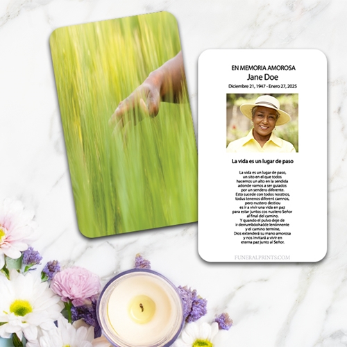 Show details for Green Meadow Spanish Prayer Card