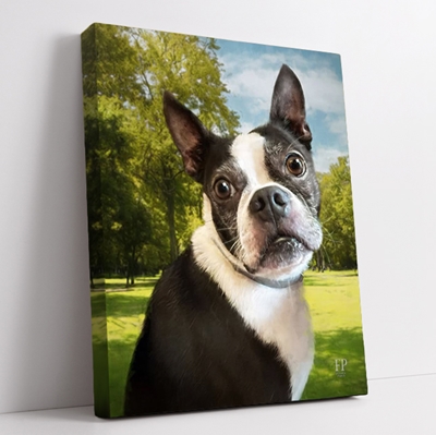 Show details for Wrapped Canvas Memorial Portrait - Beloved Dog with Studio Background