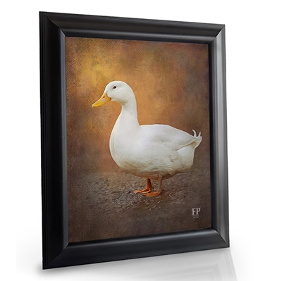 Show details for Framed Memorial Portrait - Cherished Bird with Choice of Backgrounds