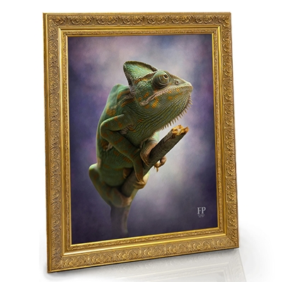 Show details for Framed Memorial Portrait - In Loving Memory Iguana with Studio Background