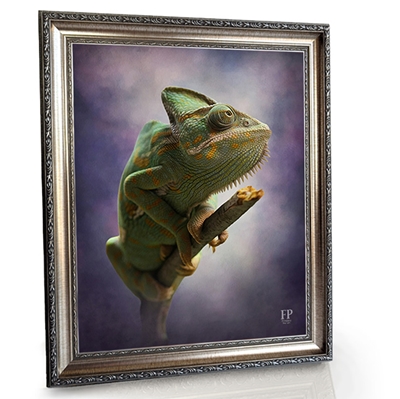 Show details for Framed Memorial Portrait - In Loving Memory Iguana with Studio Background