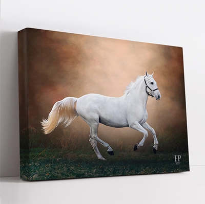 Show details for Wrapped Canvas Memorial Portrait - Horse with Choice of Backgrounds