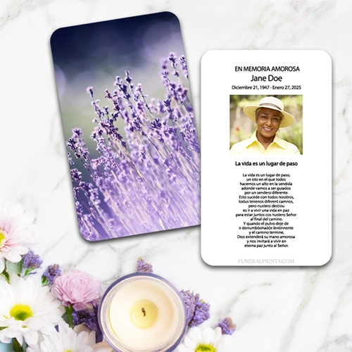 Show details for Lavender Lights Spanish Prayer Card