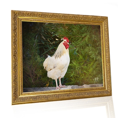 Show details for Framed Memorial Portrait - Gentle Chicken with Lifescapes Background