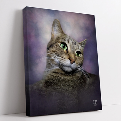 Show details for Wrapped Canvas Memorial Portrait - Curious Cat with Choice of Backgrounds